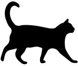 Fototapeta Koty - cat silhouette vector