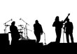 © Николай Григорьев - Concert of rock band on a white background