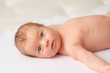 © haveseen - One month old baby