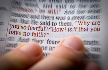 Wall Mural - Bible text - Why are you so fearful