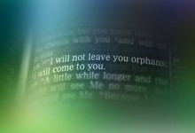 Bible Text - I WILL NOT LEAVE YOU ORPHANS