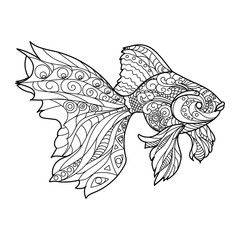 Gold fish coloring book for adults vector