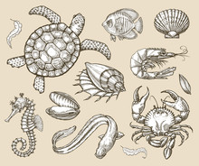 Hand Drawn Sketch Set Of Seafood, Sea Animals. Vector Illustration