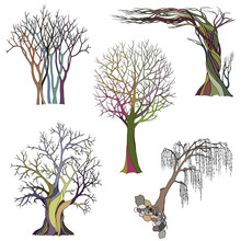 A Set Of Five Abstract Bare Trees With Detailed Branches And Twigs. Vector Color Illustration, Isolated On White Background.