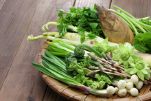 Sansai, Japanese Edible Wild Plants Vegetables