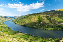 Landscape Of The Douro River Regionin Portugal -  Vineyards