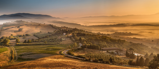 Canvas Print - Morning Fog over Tuscan Country, Italy