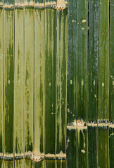 Wall Mural - bamboo fence green