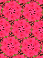 Wall Mural - Abstract Pattern Kaleidoscope