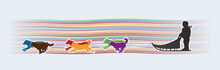 Sled Dogs Designed On Line Rainbows Background Graphic Vector.
