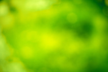 Abstract Blurred Background With A Shade Of Green