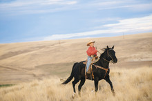 Caucasian Boy Riding Horse In Grassy Field