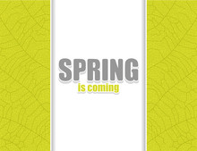 Spring Poster With Vertical Repeat Background