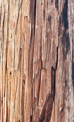 Wall Mural - old wooden texture