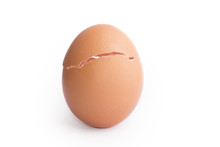 The Egg Split. A Chicken Is Born. Isolated White Background.