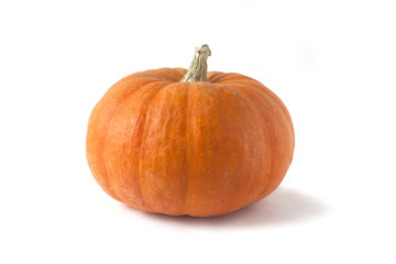 Bright orange pumpking on white background 