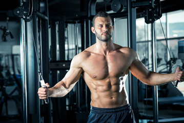 Wall Mural - Man doing cable fly in gym