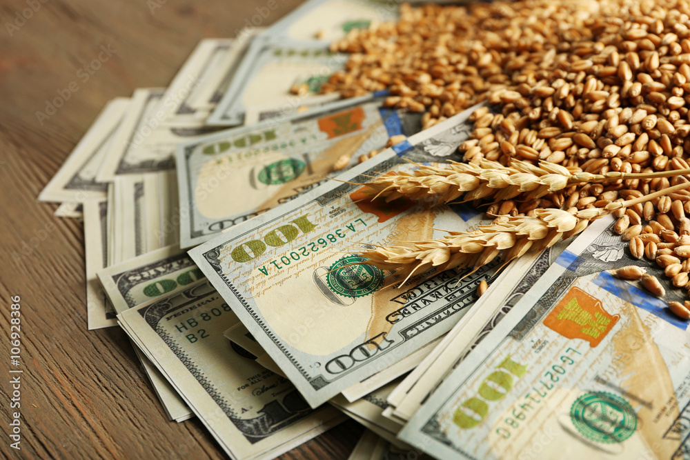 Dollar banknotes and wheat grains on wooden background. Agricultural income concept