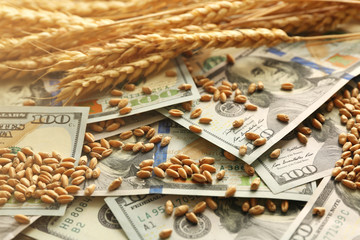 Dollar banknotes and wheat grains. Agricultural income concept