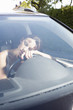 © Connect Images - Mid adult woman leaning against steering wheel unconscious