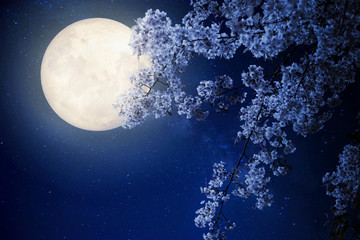 Beautiful cherry blossom (sakura flowers) with Milky Way star in night skies, full moon - Retro style artwork with vintage color tone(Elements of this moon image furnished by NASA)