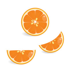 Wall Mural - Illustration vector set of orange