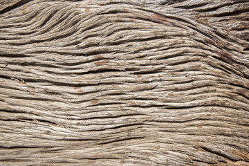 wood texture background