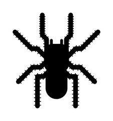 Wall Mural - Black spider insect danger silhouette vector icon. 