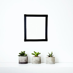 Wall Mural - Mock up. Scandinavian home design. Wall decoration and succulents. Place for text or picture.