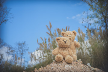 teddy bear adventure