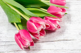 Fototapeta Tulipany - Tulips on wood background. Space for text.