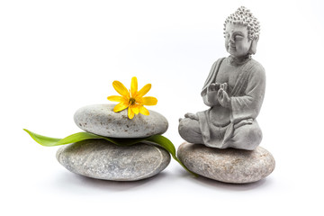 Stones whit flower and Buddha