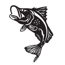 The Barramundi Fish Jump Vector Art Design