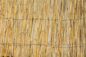  fence from the dry reed