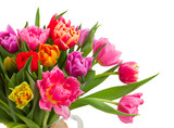 Fototapeta Tulipany - bouquet of  pink, purple and red  tulips