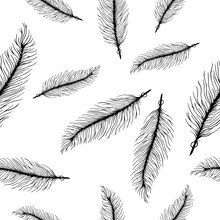 Black White Seamless Pattern With Feathers. Style Elements. Vector Drawing. 