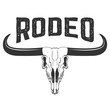 Rodeo. Buffalo skull isolated on white background.