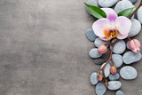 Fototapeta Storczyk - Spa orchid theme objects on grey background.