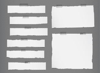 Poster - Pieces of torn white blank note paper sticked on gray squared, striped background