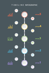 Poster - Timeline infographic design template with diagrams and icons. Vector illustration for workflow layout, diagram, number options, web design.
