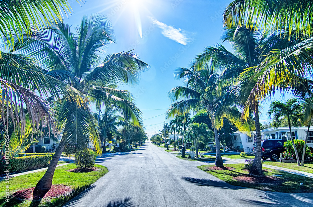 way to the beach with palm trees in key west florida - obrazy, fototapety, plakaty 