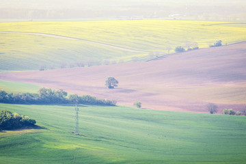  Countryside green farmland landscape