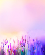 Oil Painting Violet Lavender Flowers In The Meadows. Abstract Oil Painting Sunshine At Flower Field In Soft Purple Color And Blur Style