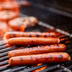 Wall Mural - grilling hot dogs over open flame