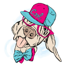 Funny Dog Wearing A Cap And Sunglasses. Vector Illustration. Cool Dog.