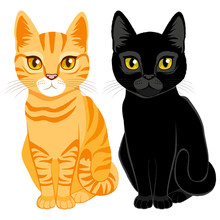 Cute Cats On Orange Tabby And Black Color With Orange And Yellow Eyes
