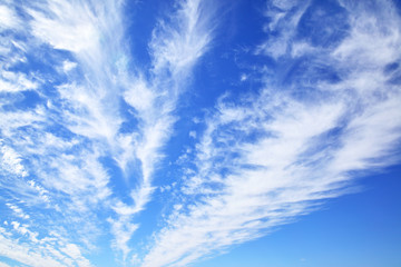 Wall Mural - blue sky with clouds
