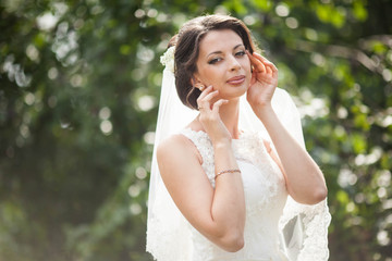 beautiful refined stylish elegant beautiful bride on the backgro