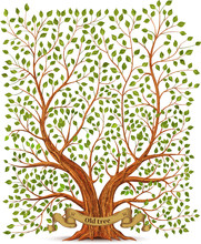 Old Vintage Tree Vector Illustration