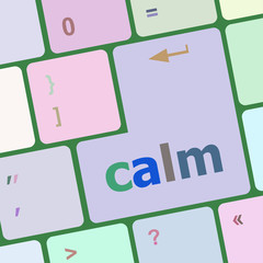Poster - calm key on computer keyboard button vector illustration
